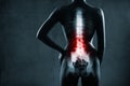 Spine in x-ray. Lumbar spine is highlighted. Royalty Free Stock Photo