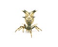 spined micrathena or castleback orbweaver orb weaver spider - Micrathena gracilis - female isolated on white background front view
