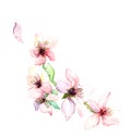 The sping flowers of the tree watercolor Royalty Free Stock Photo