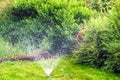 Spinkler in garden, watering the lawn