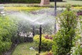 Spinkler in garden, watering the lawn