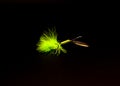 Spinner Lure with three hooks spinnerbaits pulsating hackle tail isolated on black