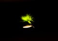 Spinner Lure with three hooks spinnerbaits pulsating hackle tail isolated on black