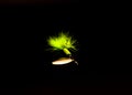 Spinner Lure with three hooks spinnerbaits pulsating hackle tail isolated on black Royalty Free Stock Photo