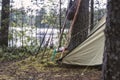 Spinning, fishing rods and tackle stand near a tent, in a pine forest on the shore of a lake Royalty Free Stock Photo