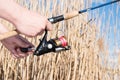 Spinning in the hands of the fisherman. Closeup of fishing gear and dry tall grass Royalty Free Stock Photo