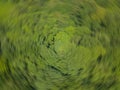 Spinning Motion Blur Green Deciduous Forest, Aerial View