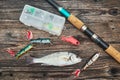 Spinning rod, reel and fishing baits Royalty Free Stock Photo