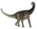 Spinophorosaurus dinosaur standing - 3D render Royalty Free Stock Photo