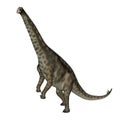 Spinophorosaurus dinosaur standing up - 3D render Royalty Free Stock Photo