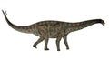Spinophorosaurus dinosaur walking - 3D render Royalty Free Stock Photo