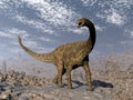 Spinophorosaurus dinosaur walking in the desert - 3D render Royalty Free Stock Photo
