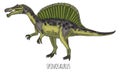 Spinosaurus color drawing. Prehistoric carnivore animal with spine bones