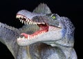 A Spinosaurus Dinosaur Close Up Against Black Royalty Free Stock Photo