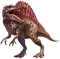 Spinosaurus dinosaur 3D illustration Royalty Free Stock Photo