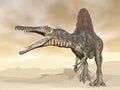 Spinosaurus dinosaur in the desert - 3D render Royalty Free Stock Photo