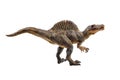 Spinosaurus  ,dinosaur on white background Royalty Free Stock Photo