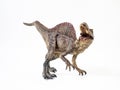 Spinosaurus ,dinosaur on white background Royalty Free Stock Photo