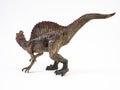 Spinosaurus ,dinosaur on white background Royalty Free Stock Photo