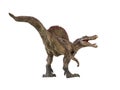 Spinosaurus ,dinosaur on white background Royalty Free Stock Photo