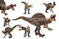 Spinosaurus  ,dinosaur on white background Royalty Free Stock Photo