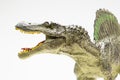 Spinosaurus plastic figurine Royalty Free Stock Photo