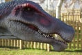 Spinosaurus - Spinosaurus aegyptiacus Royalty Free Stock Photo