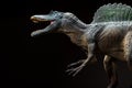 Spinosaurus toy on dark