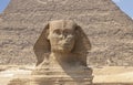 Spinx face on the Giza pyramid background, Cairo, Egypt