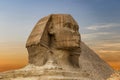 Spinx face on the Giza pyramid background at sunset, Cairo, Egypt