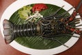 Spiny Lobster from Goa, India Royalty Free Stock Photo