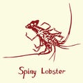 Spiny Lobster, with inscription, hand drawn doodle Royalty Free Stock Photo