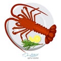 Spiny lobster with rosemary and lemon on the plate in cartoon style. Fresh spiny lobster. Seafood product design