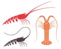 Spiny Lobster Royalty Free Stock Photo