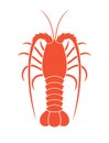 Spiny Lobster