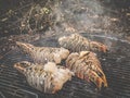 Spiny lobsters cooked and grilled on a barbecue grill Royalty Free Stock Photo