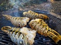 Spiny lobsters cooked and grilled on a barbecue grill Royalty Free Stock Photo