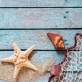 Spiny starfish and conch with fishing net Royalty Free Stock Photo