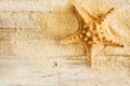 Spiny starfish and sea sand on wooden boards