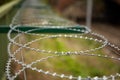 Spiral barbed wire on background of stale grass