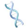 Spiral of Blue DNA double helix isolated white background