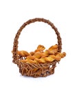 Spiral bread sticks with cheese in basket Royalty Free Stock Photo