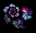 A spiral of colorful luminous flowers or rays on a black background. Abstract fractal background with flowers. 3D rendering. Royalty Free Stock Photo