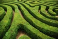 A spiral confusing hedgerow spiral maze