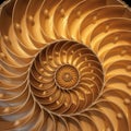 Spiral design exemplifies natural logarithmic spirals, often Royalty Free Stock Photo