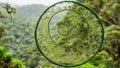 Green Spiral Art Royalty Free Stock Photo