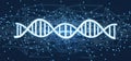 Spiral DNA molecules. Structure of the genetic code