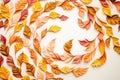 spiral of falling paper leaves in autumn colors
