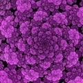 Spiral of fractal purple colors. Background 1 Royalty Free Stock Photo