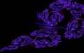 Spiral fractal purple violet black